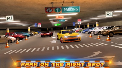 Multi-storey Car Parking 3D Screenshot 3