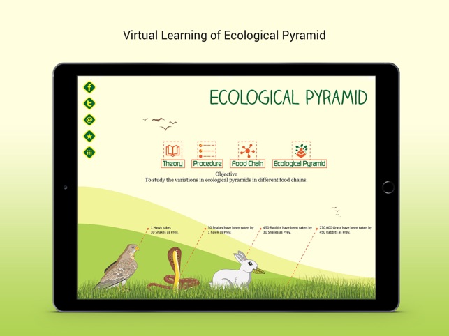 Ecological Pyramid(圖1)-速報App