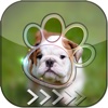 BlurLock - Cute Puppy : Blur Lock Screen Photo Maker Wallpapers Pro