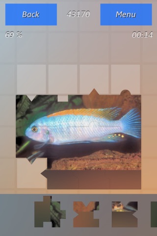 Fish Finder Puzzle screenshot 4