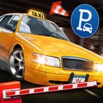 Real Park  Drive Simulator