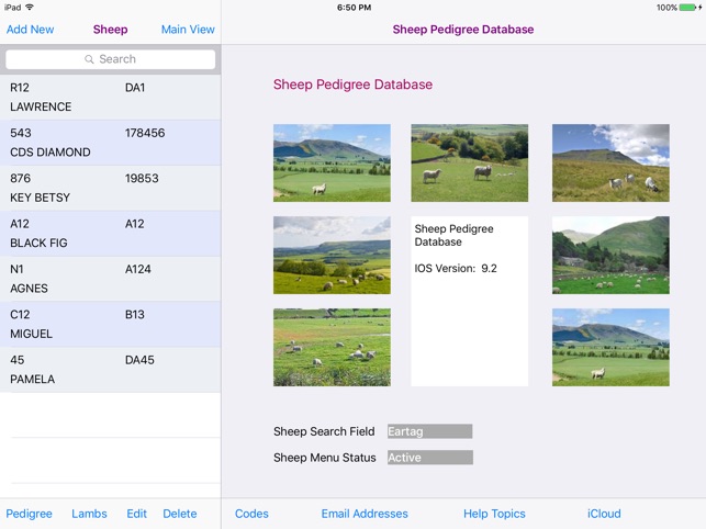 Sheep Pedigree Database