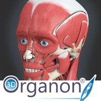 3D Organon Anatomy - Muscles, Skeleton, and Ligaments apk