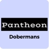 Pantheon Dobermans