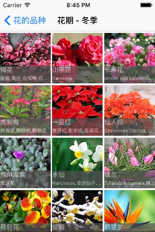 Flowering Plants screenshot 4