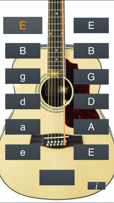 12-String Guitar Tune... screenshot1