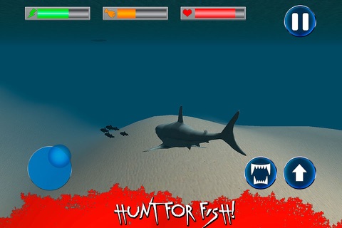 Wild Angry Shark Simulator 3D Full screenshot 2