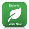 DiabeticFit - Diabetic Monitor and Fit App