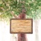 Tree Post is fast and easy memo board for you