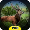 Forest Hunt Pro