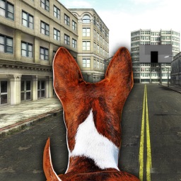 Dog In City Simulator