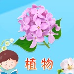 宝贝认植物 -幼儿早教启蒙1-2岁看图识字学习植物知识