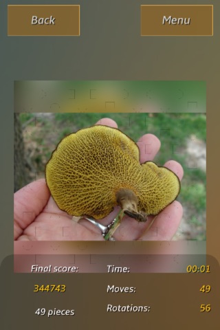 Mushrooms Jigsaw Puzzles screenshot 3