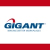 Gigant Secure Lift