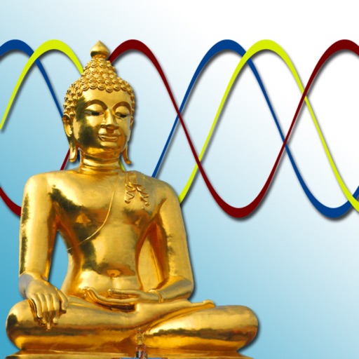 Bio Journal - Your Biorhythm