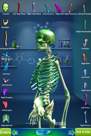 GM4L Skeleton Bone Game screenshot 4