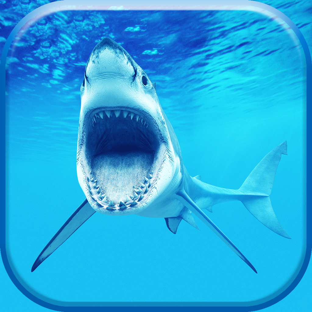 サメ壁紙 そして ロック画面 テーマ 画面をポン引き とともに 最高の背景 Iphoneアプリ Applion