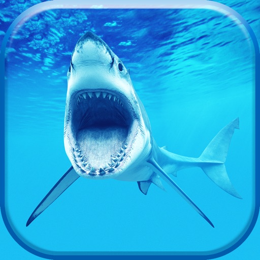 Shark Wallpaper & Lock Screen Themes – Pimp Your Background With Cool Wallpapers icon