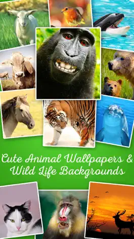 Game screenshot Animals - Cute Animal Wallpapers & Wild Life Backgrounds mod apk