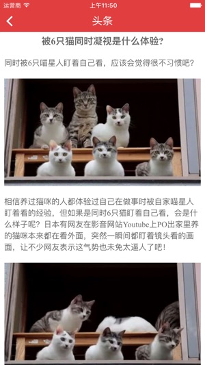 ACATW-乐萌宠 (宠物,名犬,名猫,训练,喂养)(圖3)-速報App