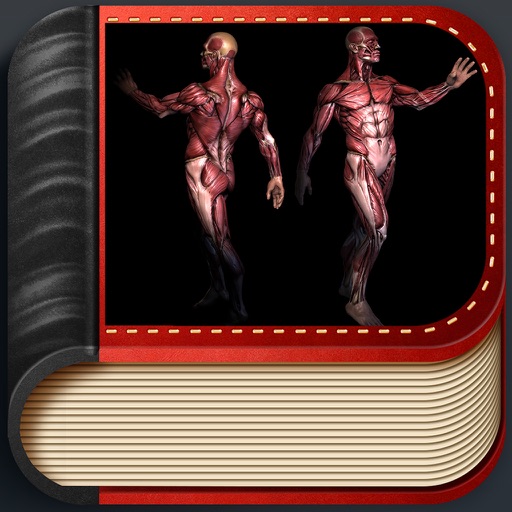 Human Anatomy Dictionary icon