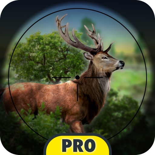 Forest Hunt Pro