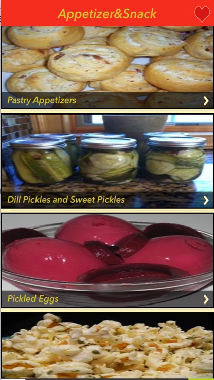 3000+ Appetizer & Snack Recipe screenshot-3