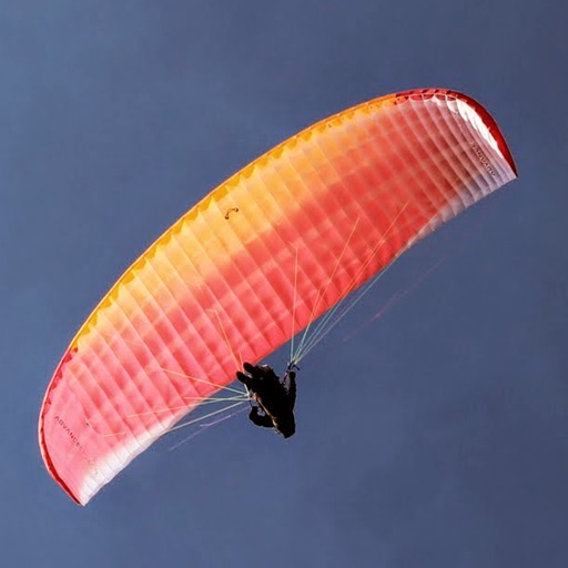 Para Glider Game Icon