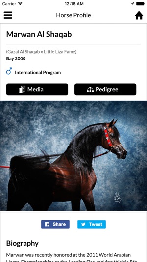 AL SHAQAB(圖4)-速報App