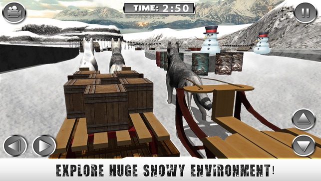 Winter Snow Dog Sledding Ski Simulator 3D(圖4)-速報App