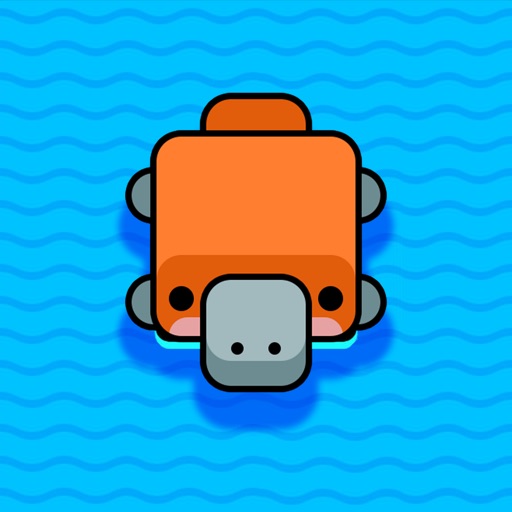 Square Turtle Swim