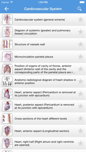 Human Anatomy 2017(圖3)-速報App