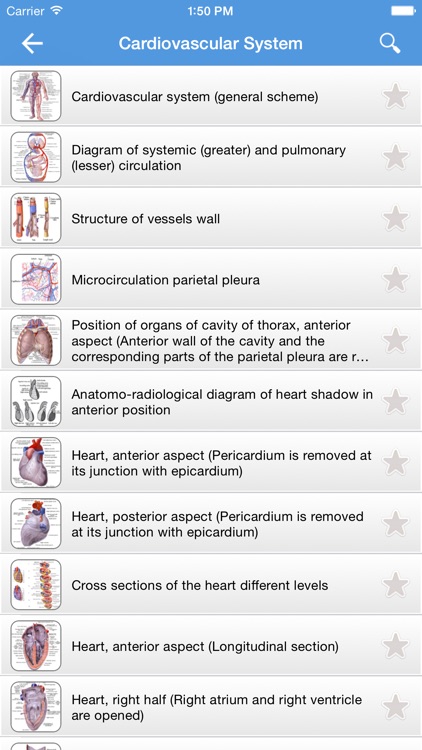 Human Anatomy 2017