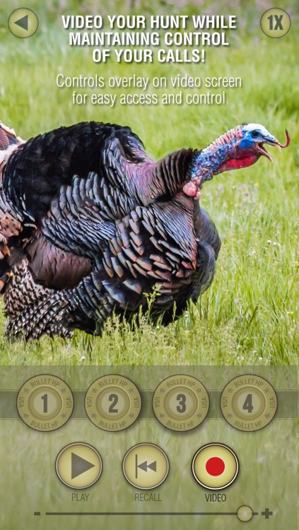 Wild Turkey Pro screenshot-3