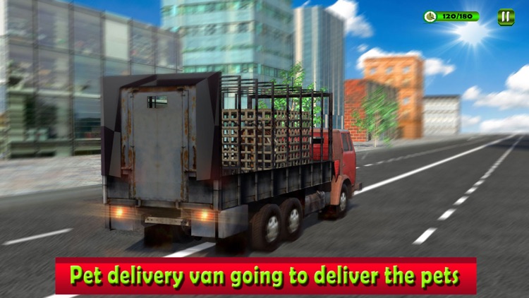 Pet Home Delivery: Van