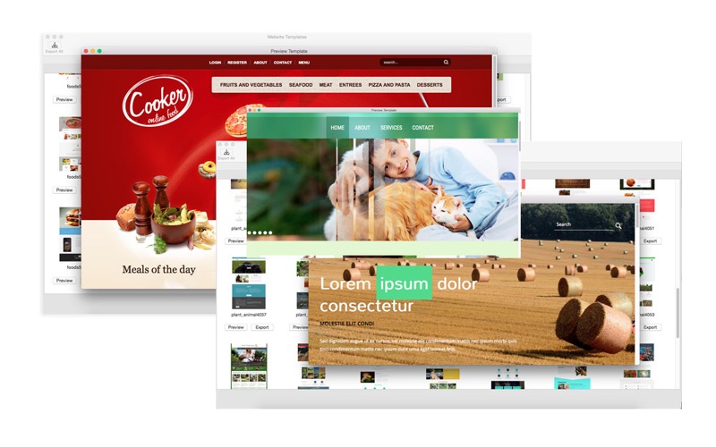 Website Template (Foods &amp; Plant &amp; Animal) With Html Files Pack3 thumbnail 4