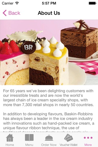 Baskin Robbins screenshot 2