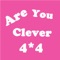 Are You Clever - N=2^N 4X4 Pro