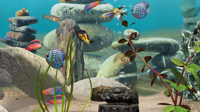 MyLake 3D Aquarium TV(圖5)-速報App