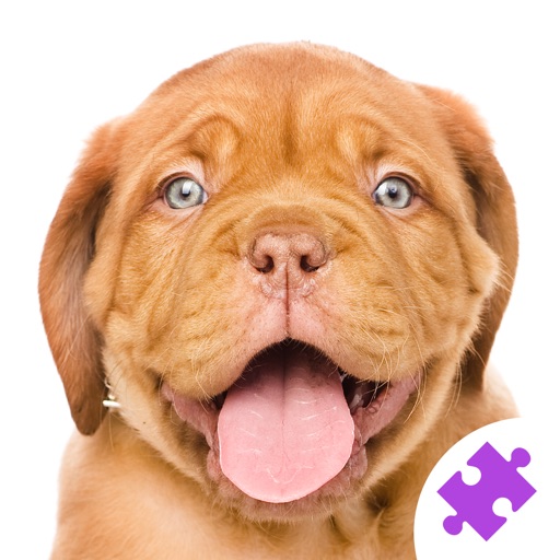 Cute Dogs & Puppies Jigsaw Puzzles : free logic game for toddlers, preschool kids, little boys and girls iOS App