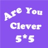 Are You Clever - 5X5 Color Blind Puzzle