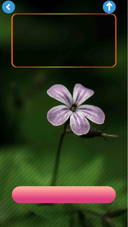 Fancy Screen - Create wallpapers for your screen