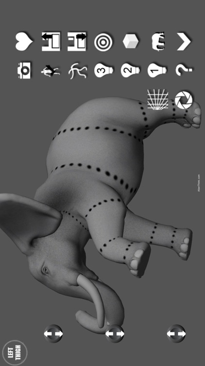 Elephant Pose Tool 3D