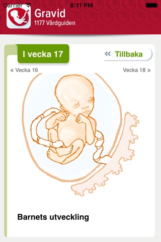 Graviditetskalender – fostrets utveckling vecka för vecka screenshot 2
