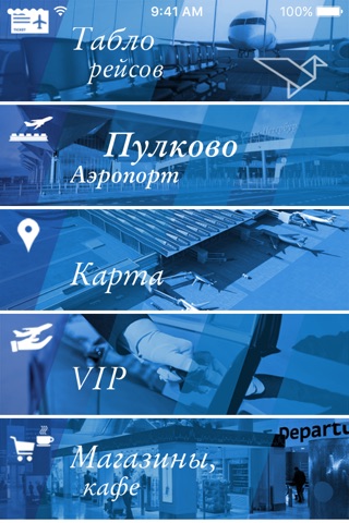 Пулково Аэропорт screenshot 2