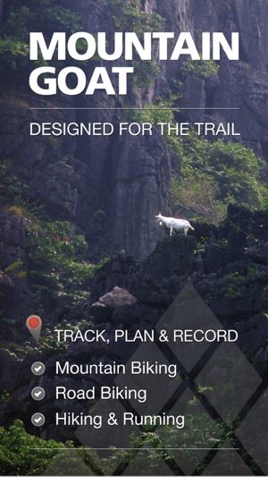 Mountain Goat