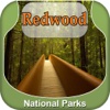 Redwood National Park Guide