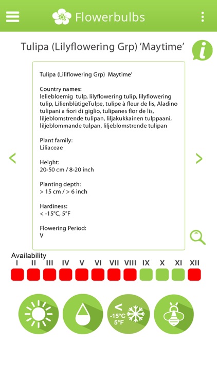 Info-Flowerbulbs screenshot-4