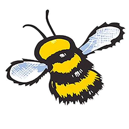 Haskins Buzzy Bee Icon