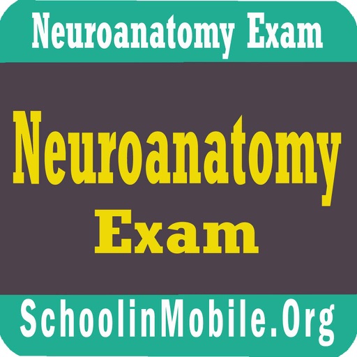Neuroanatomy Exam Prep